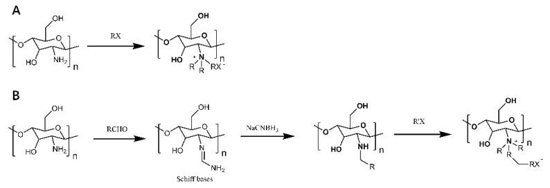 https://cdn.ncbi.nlm.nih.gov/pmc/blobs/ab90/8912330/96c5e6188200/polymers-14-00958-g003.jpg