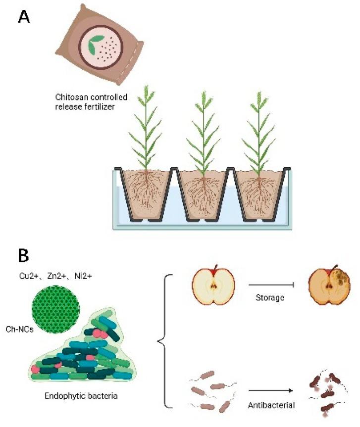 https://cdn.ncbi.nlm.nih.gov/pmc/blobs/ab90/8912330/aee4e1c3ce6c/polymers-14-00958-g007.jpg