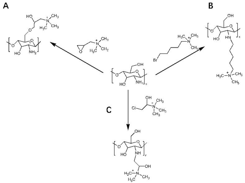 https://cdn.ncbi.nlm.nih.gov/pmc/blobs/ab90/8912330/d099655a328c/polymers-14-00958-g004.jpg