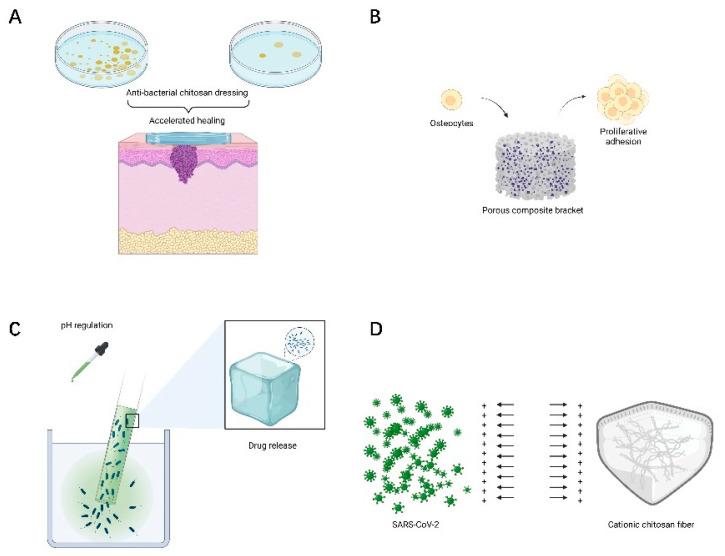 https://cdn.ncbi.nlm.nih.gov/pmc/blobs/ab90/8912330/efe26684885c/polymers-14-00958-g006.jpg