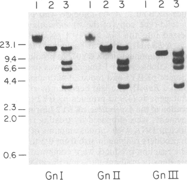 https://cdn.ncbi.nlm.nih.gov/pmc/blobs/ab91/397141/2165308181f5/pnas00343-0210-a.jpg