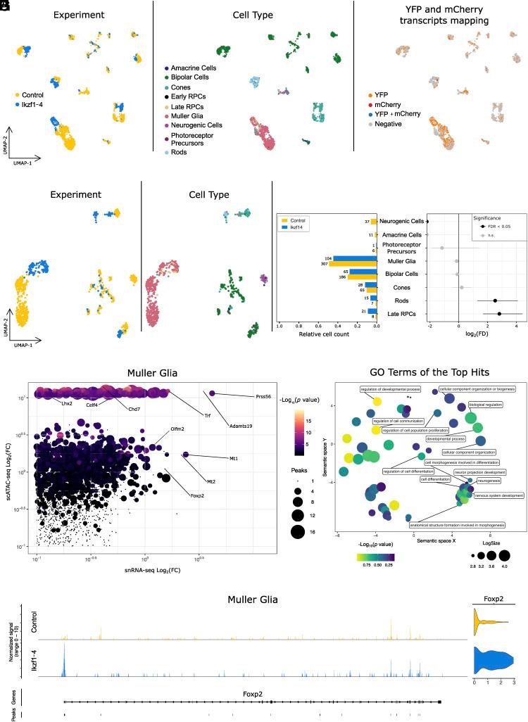 https://cdn.ncbi.nlm.nih.gov/pmc/blobs/ab92/10175841/10f9f2f309ce/pnas.2122168120fig04.jpg