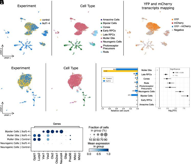 https://cdn.ncbi.nlm.nih.gov/pmc/blobs/ab92/10175841/e6eb534d23af/pnas.2122168120fig03.jpg