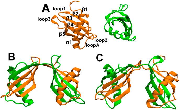 https://cdn.ncbi.nlm.nih.gov/pmc/blobs/ab93/7127520/3bbbb0e2b38d/gr3_lrg.jpg