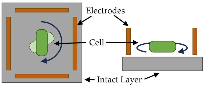 https://cdn.ncbi.nlm.nih.gov/pmc/blobs/ab94/10708710/049524d7d01e/sensors-23-09391-g017.jpg