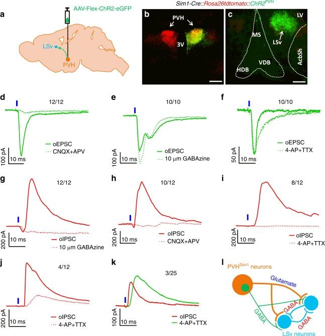 https://cdn.ncbi.nlm.nih.gov/pmc/blobs/ab94/6671997/06090d329bca/41467_2019_11399_Fig1_HTML.jpg