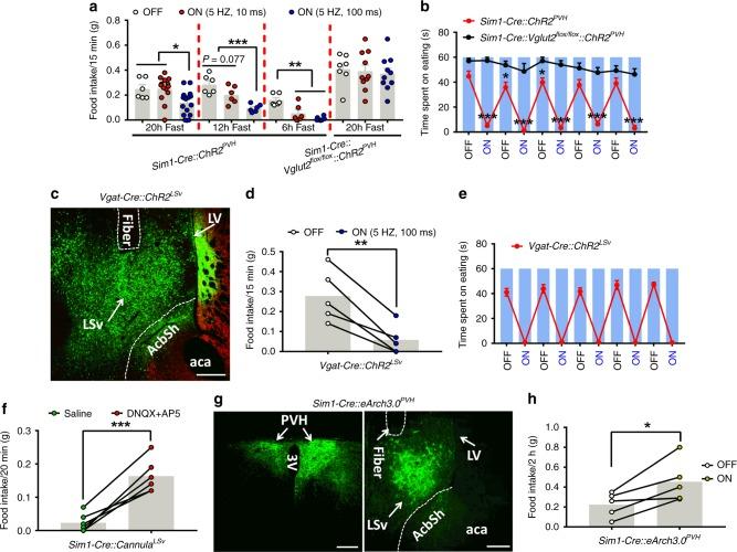 https://cdn.ncbi.nlm.nih.gov/pmc/blobs/ab94/6671997/bf53a8c90824/41467_2019_11399_Fig5_HTML.jpg