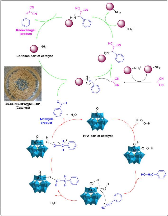 https://cdn.ncbi.nlm.nih.gov/pmc/blobs/ab94/9935902/528d1bdf4a4e/41598_2023_29548_Fig12_HTML.jpg