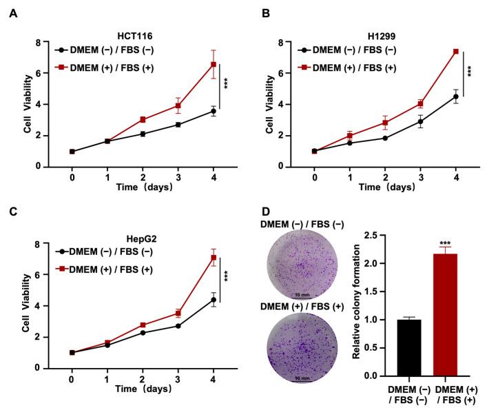 https://cdn.ncbi.nlm.nih.gov/pmc/blobs/ab98/10671805/f89e11f983e5/ijms-24-16538-g001.jpg