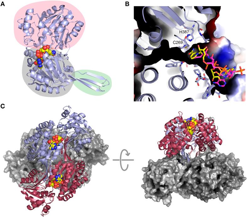 https://cdn.ncbi.nlm.nih.gov/pmc/blobs/ab98/4762007/5220b7ebf698/srep22108-f2.jpg