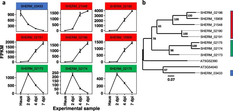 https://cdn.ncbi.nlm.nih.gov/pmc/blobs/ab99/10998327/7c57321c2773/12870_2024_4935_Fig7_HTML.jpg