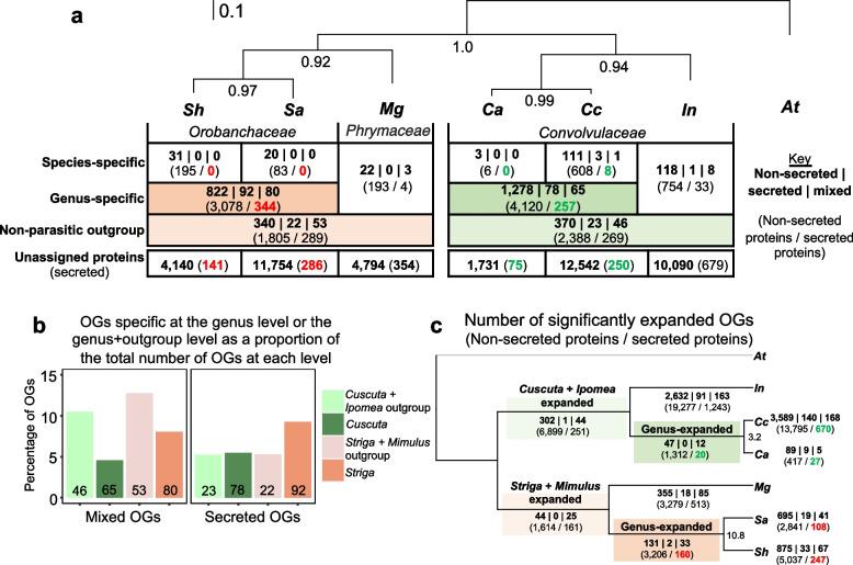 https://cdn.ncbi.nlm.nih.gov/pmc/blobs/ab99/10998327/e6cdb47c672e/12870_2024_4935_Fig2_HTML.jpg