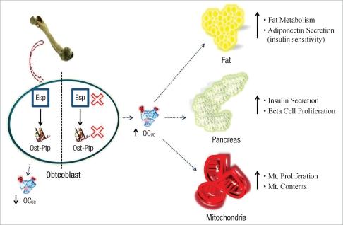 https://cdn.ncbi.nlm.nih.gov/pmc/blobs/ab9a/2890897/7ceb80293868/jkms-25-985-g002.jpg