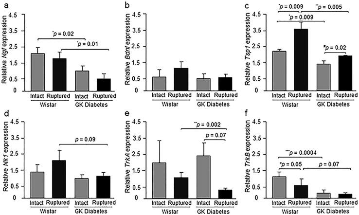 https://cdn.ncbi.nlm.nih.gov/pmc/blobs/ab9a/5266316/61393c597b92/pone.0170748.g002.jpg