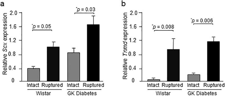 https://cdn.ncbi.nlm.nih.gov/pmc/blobs/ab9a/5266316/974fcb9425c4/pone.0170748.g001.jpg