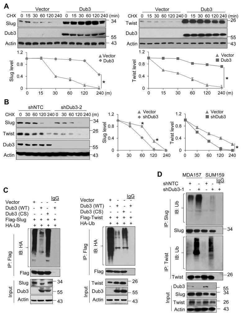 https://cdn.ncbi.nlm.nih.gov/pmc/blobs/ab9a/5650406/8498677093fe/oncotarget-08-75127-g003.jpg