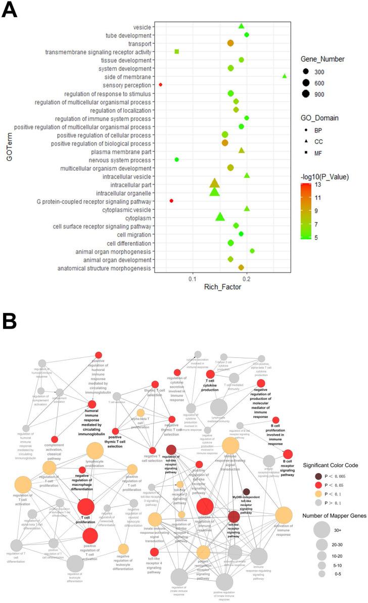 https://cdn.ncbi.nlm.nih.gov/pmc/blobs/ab9c/7645348/d383cc9805da/ijmsv17p2879g004.jpg