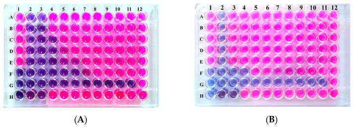 https://cdn.ncbi.nlm.nih.gov/pmc/blobs/aba0/11356740/016e3445e97d/microorganisms-12-01651-g001.jpg