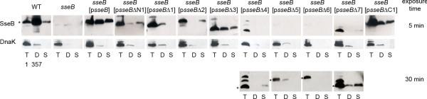https://cdn.ncbi.nlm.nih.gov/pmc/blobs/aba1/2873485/3d217d134c43/1471-2180-10-104-2.jpg