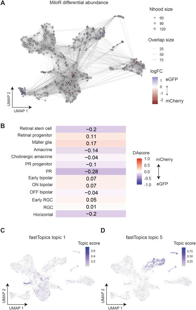 https://cdn.ncbi.nlm.nih.gov/pmc/blobs/aba2/10465922/3171aa2d6c2e/LSA-2023-02126_FigS6.jpg