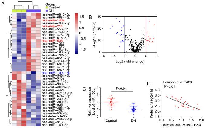 https://cdn.ncbi.nlm.nih.gov/pmc/blobs/aba2/7595662/a89f6ec28863/IJMM-46-06-2161-g00.jpg