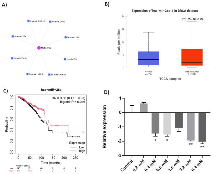 https://cdn.ncbi.nlm.nih.gov/pmc/blobs/aba3/12266353/f0f76250dc53/tjb-49-03-336f1.jpg