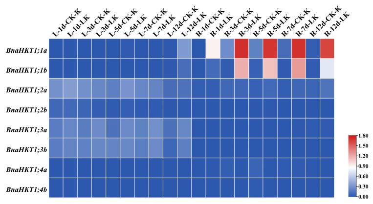 https://cdn.ncbi.nlm.nih.gov/pmc/blobs/aba4/10649870/3c8e0b9498b0/plants-12-03768-g006.jpg