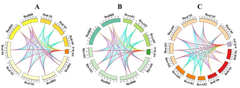 https://cdn.ncbi.nlm.nih.gov/pmc/blobs/aba4/10649870/da6f193ec87b/plants-12-03768-g005.jpg