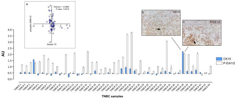 https://cdn.ncbi.nlm.nih.gov/pmc/blobs/aba4/8535076/df5ea7dbad13/cells-10-02768-g003.jpg