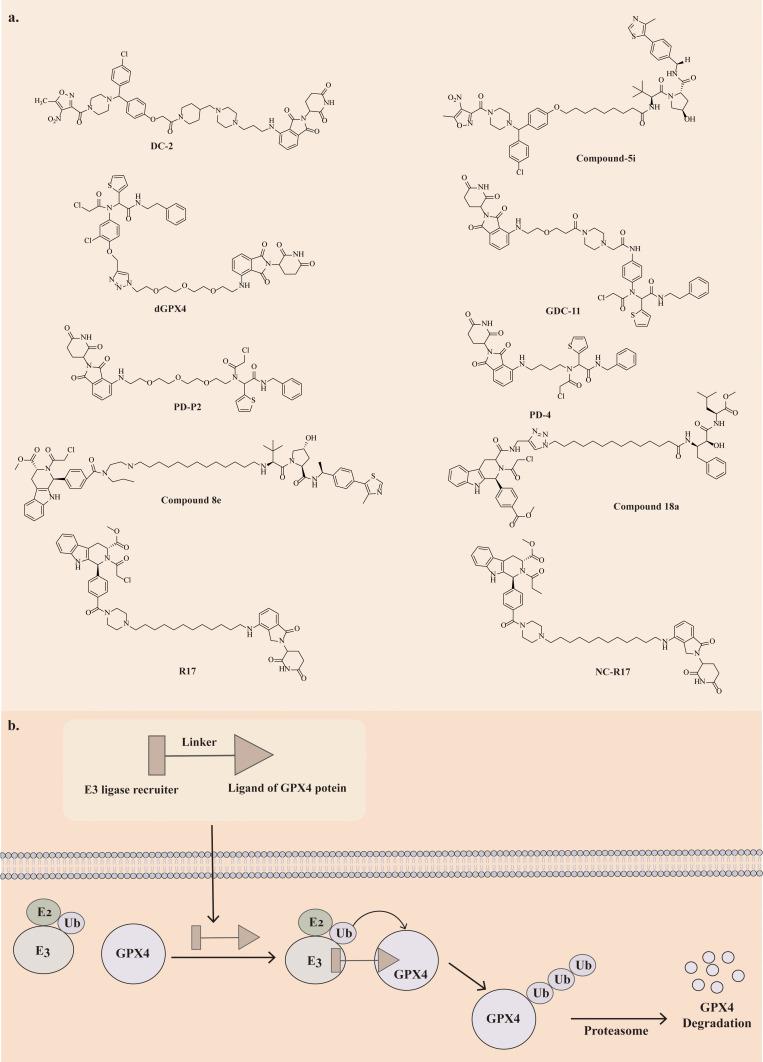 https://cdn.ncbi.nlm.nih.gov/pmc/blobs/abac/11198730/6801ad39471b/DDDT-18-2485-g0003.jpg