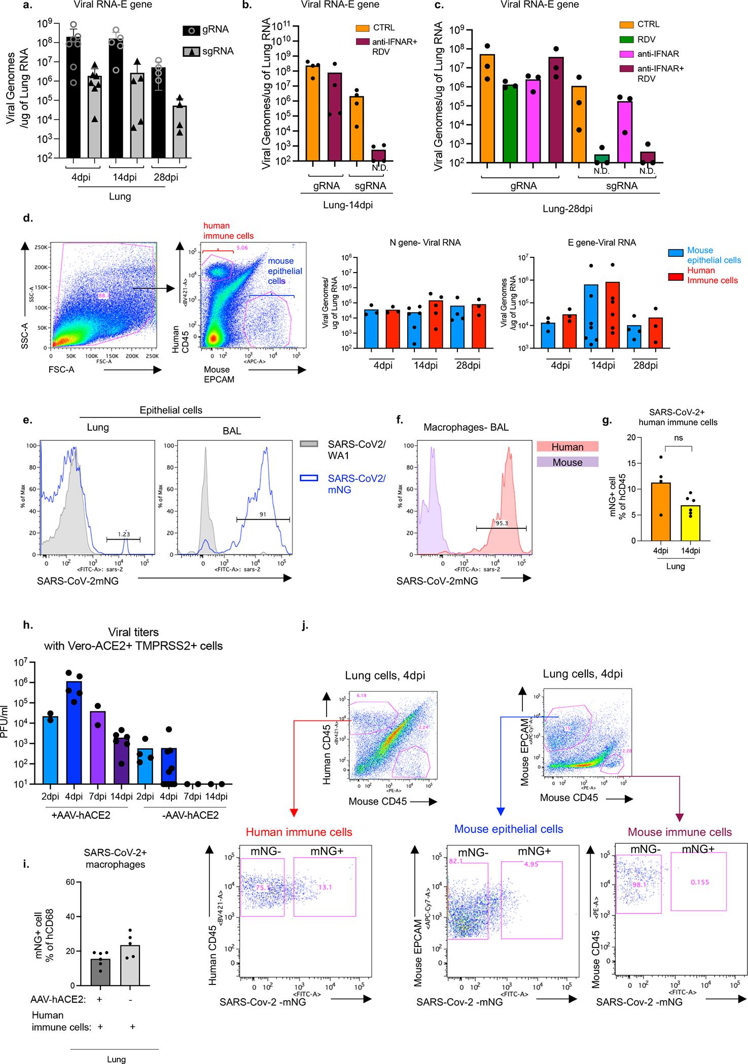 https://cdn.ncbi.nlm.nih.gov/pmc/blobs/abac/9288243/24f8b28bbab1/nihms-1809392-f0010.jpg