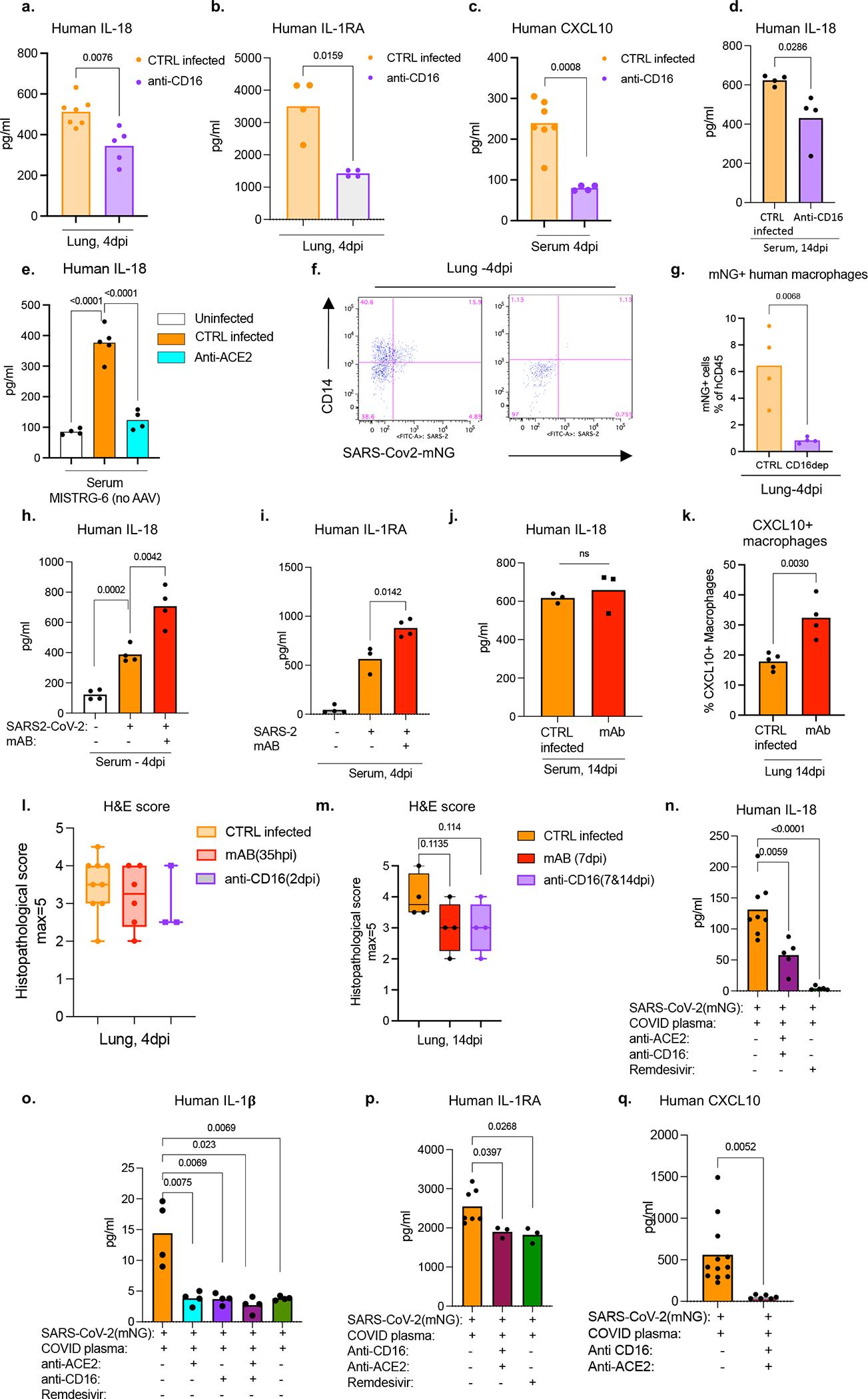 https://cdn.ncbi.nlm.nih.gov/pmc/blobs/abac/9288243/2a85a4ddd533/nihms-1809392-f0018.jpg