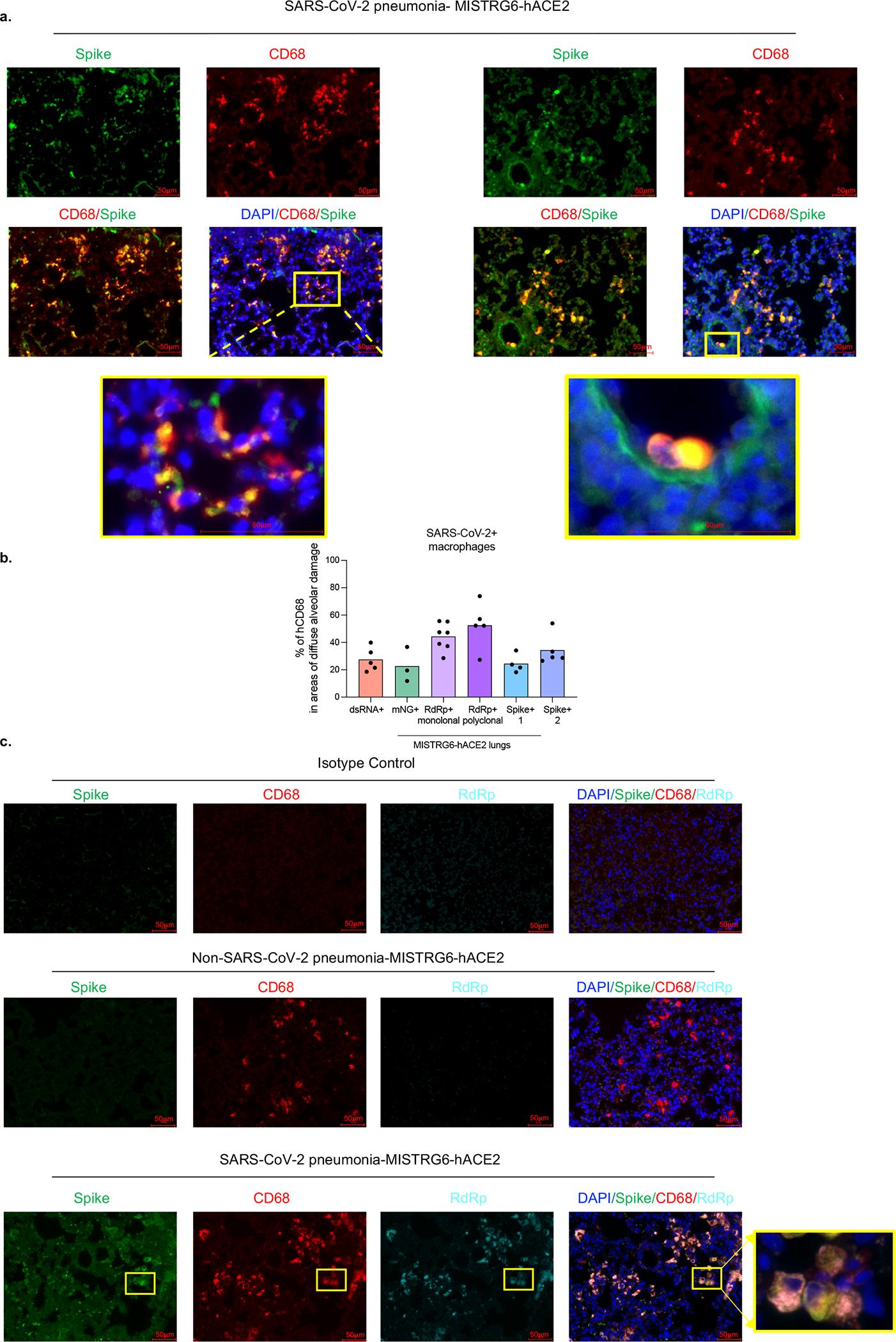 https://cdn.ncbi.nlm.nih.gov/pmc/blobs/abac/9288243/45c5ff5bb9fc/nihms-1809392-f0012.jpg