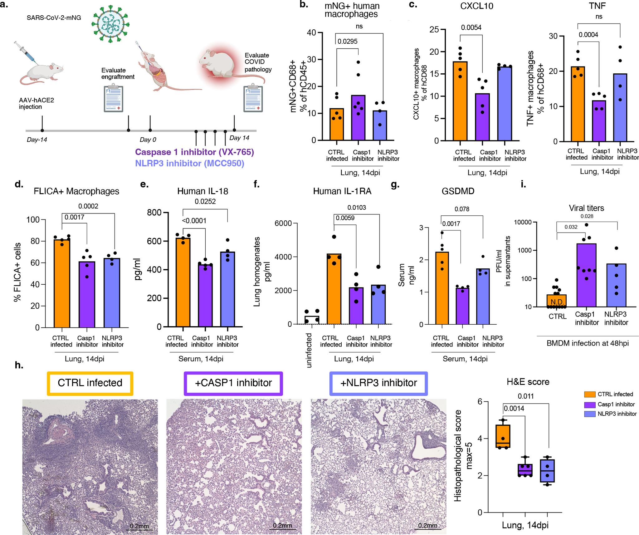 https://cdn.ncbi.nlm.nih.gov/pmc/blobs/abac/9288243/8714157e1cbb/nihms-1809392-f0004.jpg