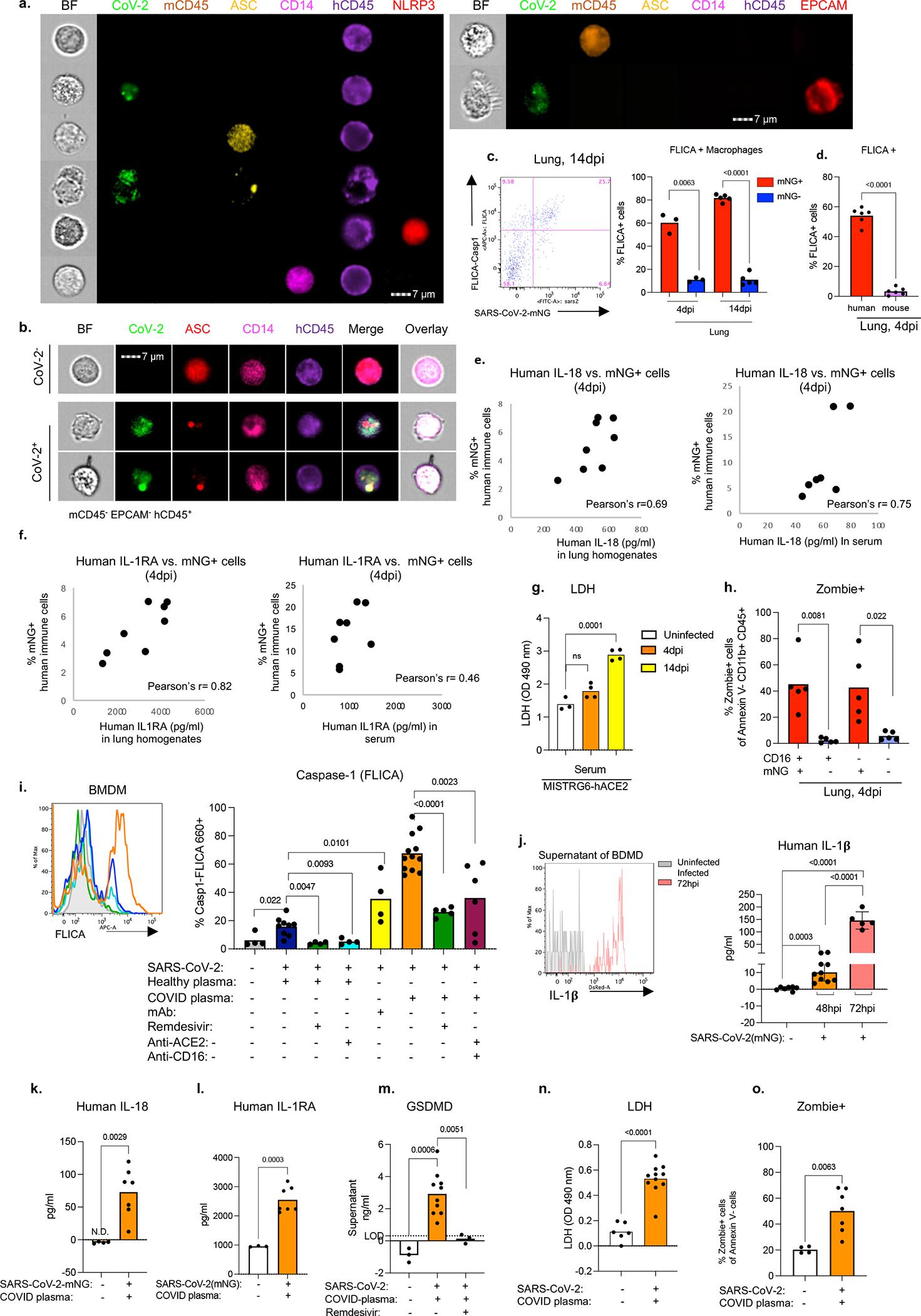 https://cdn.ncbi.nlm.nih.gov/pmc/blobs/abac/9288243/ce4f8b2e753c/nihms-1809392-f0017.jpg