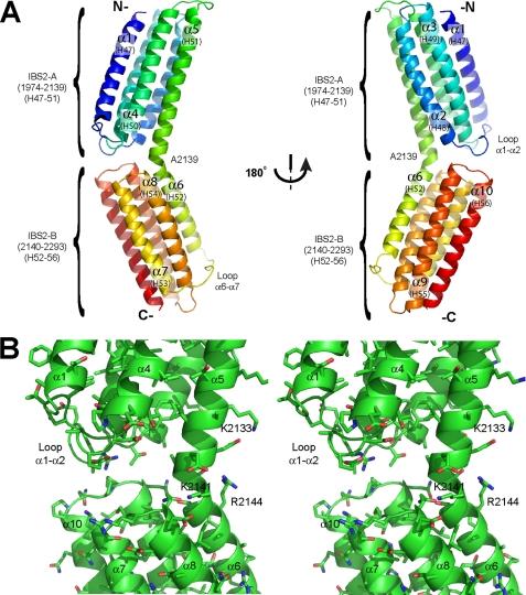 https://cdn.ncbi.nlm.nih.gov/pmc/blobs/abae/2659244/4732104a92de/zbc0170971180002.jpg