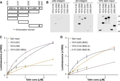https://cdn.ncbi.nlm.nih.gov/pmc/blobs/abae/2659244/b32d5471f3b9/zbc0170971180004.jpg