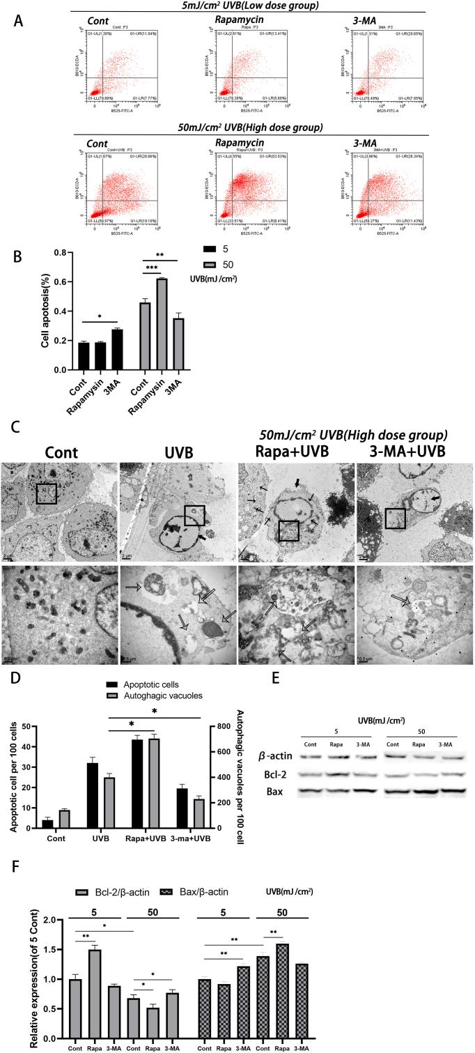 https://cdn.ncbi.nlm.nih.gov/pmc/blobs/abb2/10577839/3bed680afe18/gr3.jpg