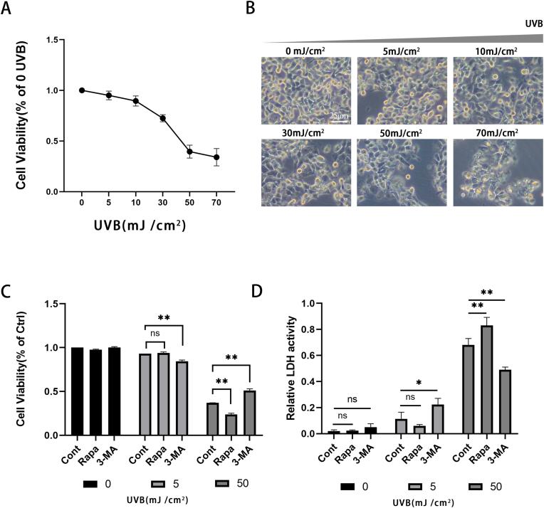 https://cdn.ncbi.nlm.nih.gov/pmc/blobs/abb2/10577839/7adaf5fa77f2/gr1.jpg