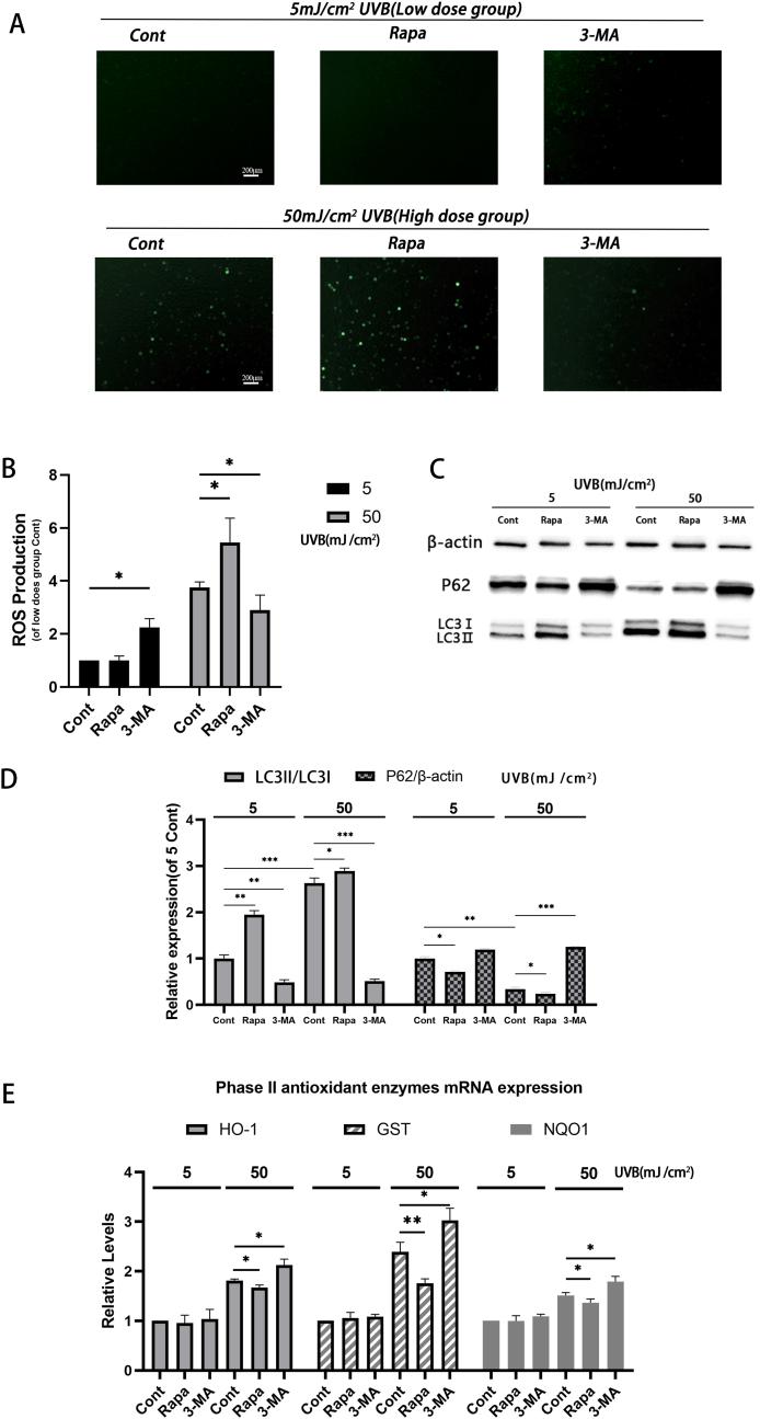 https://cdn.ncbi.nlm.nih.gov/pmc/blobs/abb2/10577839/993d2816acae/gr2.jpg