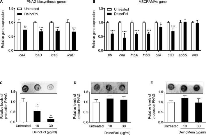 https://cdn.ncbi.nlm.nih.gov/pmc/blobs/abb3/8739996/34412dfd157d/fmicb-12-712086-g004.jpg