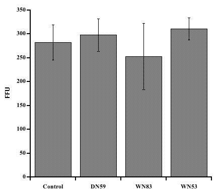 https://cdn.ncbi.nlm.nih.gov/pmc/blobs/abb5/1177995/17f4759fb999/1743-422X-2-49-4.jpg