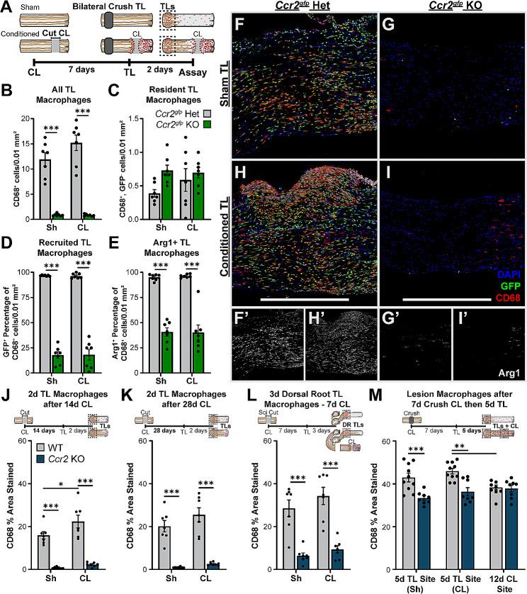 https://cdn.ncbi.nlm.nih.gov/pmc/blobs/abb6/11131297/887d3e135368/12974_2024_3132_Fig4_HTML.jpg