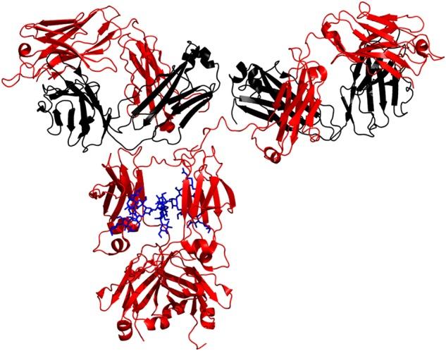 https://cdn.ncbi.nlm.nih.gov/pmc/blobs/abb7/4634315/cc3e17277763/cwv06501.jpg