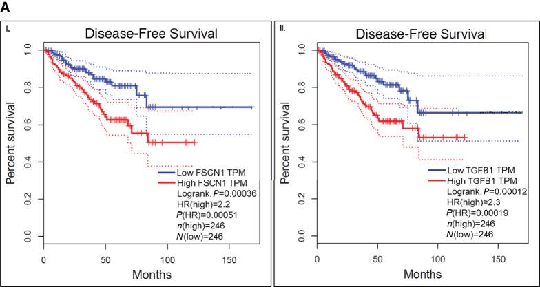 https://cdn.ncbi.nlm.nih.gov/pmc/blobs/abb9/10355222/82cbd5fa9429/crc-22-0427_fig2a.jpg