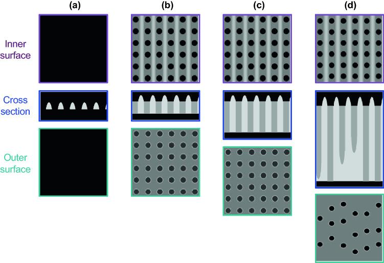 https://cdn.ncbi.nlm.nih.gov/pmc/blobs/abb9/9085750/0f264eab038f/41598_2022_11484_Fig6_HTML.jpg