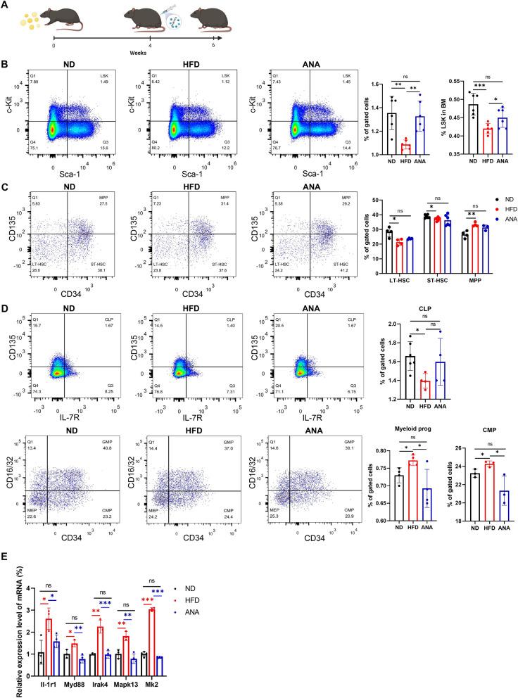 https://cdn.ncbi.nlm.nih.gov/pmc/blobs/abba/11441115/b5bc4796b69a/13287_2024_3915_Fig6_HTML.jpg