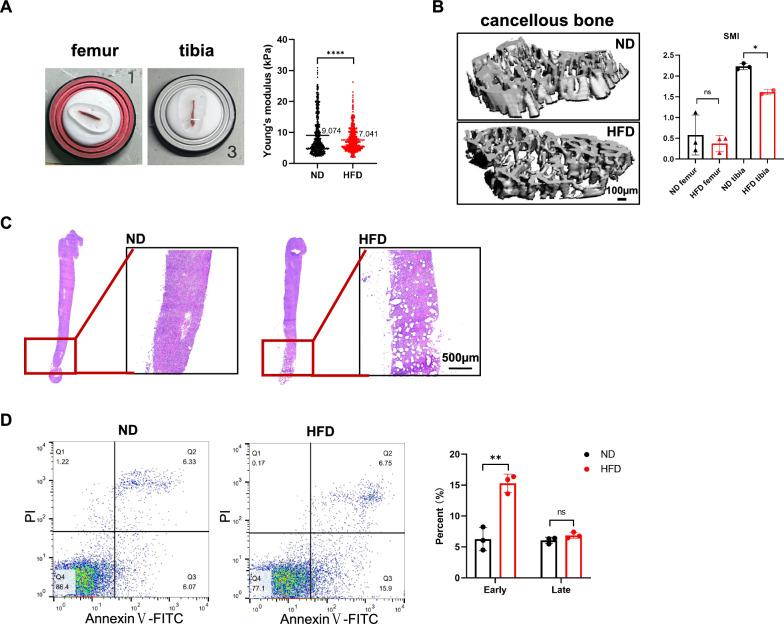 https://cdn.ncbi.nlm.nih.gov/pmc/blobs/abba/11441115/c4e345c4dac3/13287_2024_3915_Fig2_HTML.jpg