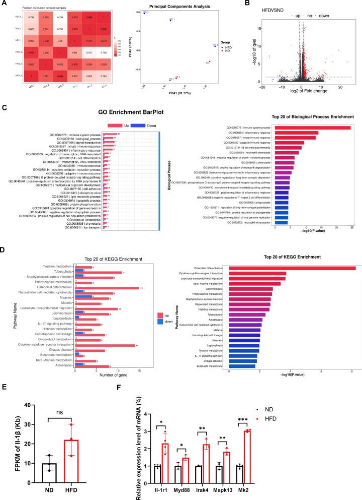 https://cdn.ncbi.nlm.nih.gov/pmc/blobs/abba/11441115/e590a041ed90/13287_2024_3915_Fig5_HTML.jpg