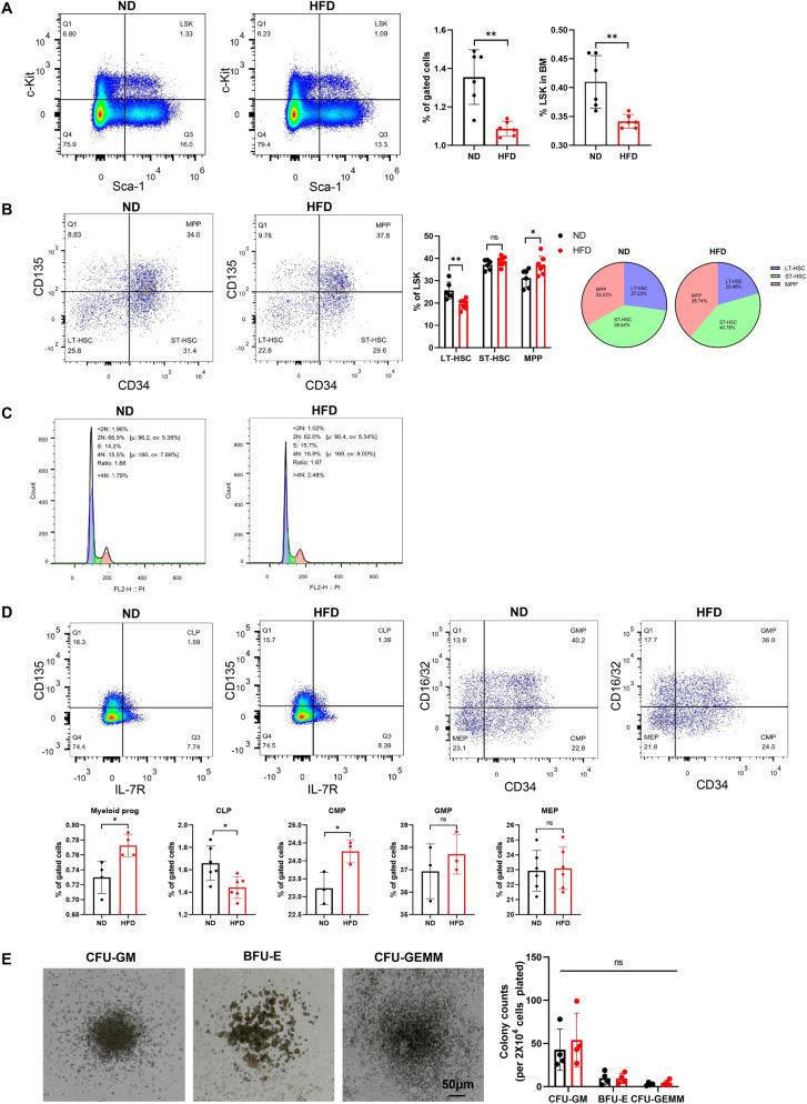 https://cdn.ncbi.nlm.nih.gov/pmc/blobs/abba/11441115/fc476f697826/13287_2024_3915_Fig3_HTML.jpg
